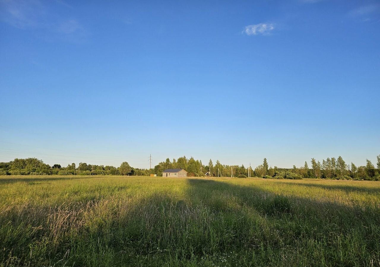 земля р-н Рыбинский д Куклино Судоверфское сельское поселение, Рыбинск фото 6