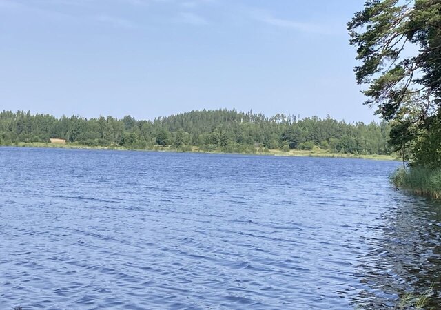 п Коверино Мельниковское сельское поселение, Кузнечное фото