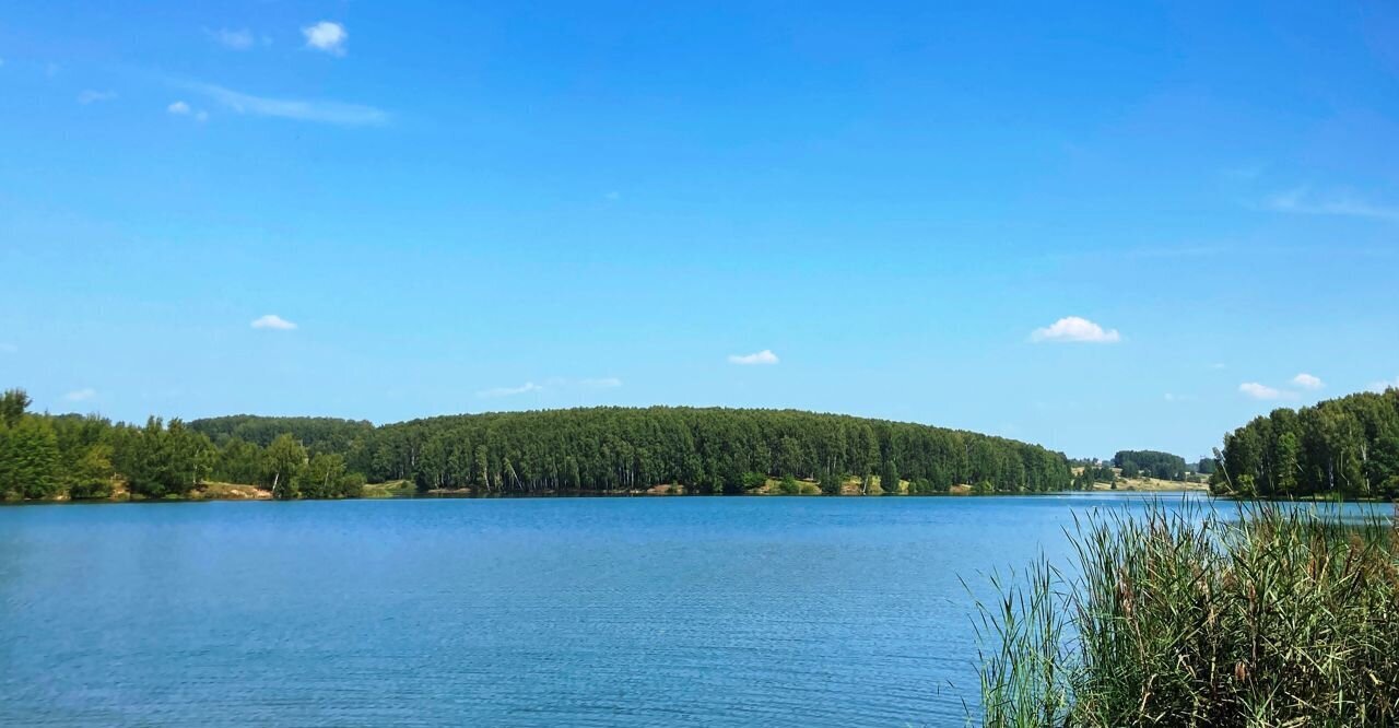 земля р-н Богородский д Шумилово ул Лесная Богородск фото 3