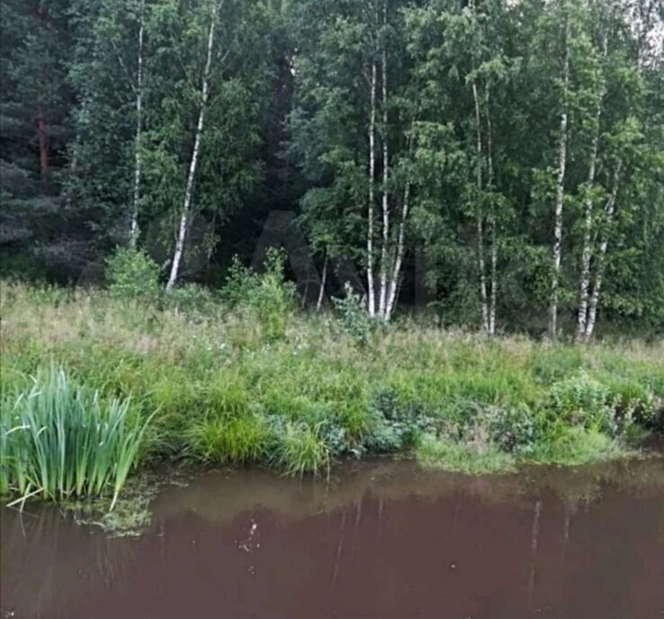 земля р-н Клепиковский д Белое Ненашкинское сельское поселение фото 3