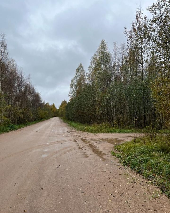 земля р-н Псковский Ершовская волость, садоводческое некоммеческое товарищество Калиновщина, Псков фото 4