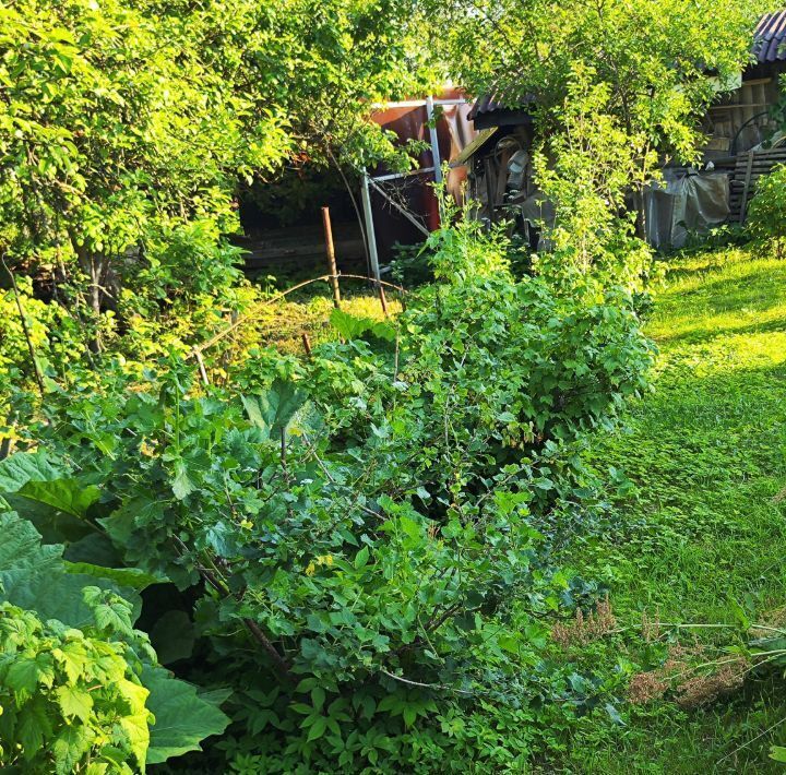 дом р-н Кировский г Кировск 8-я линия, Кировское городское поселение фото 26