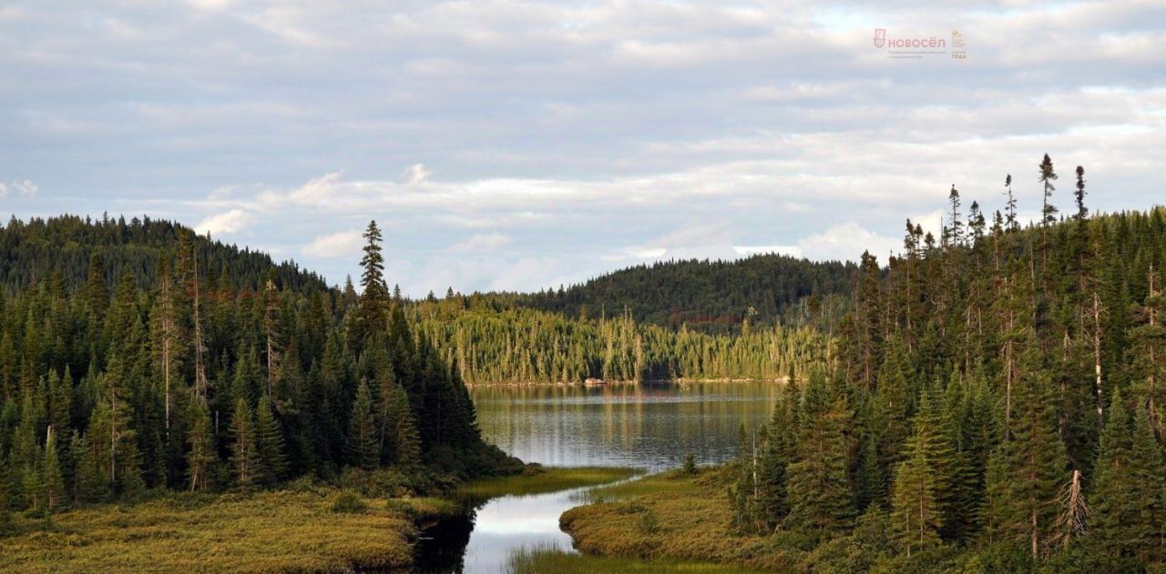 земля р-н Белоярский п Режик фото 3