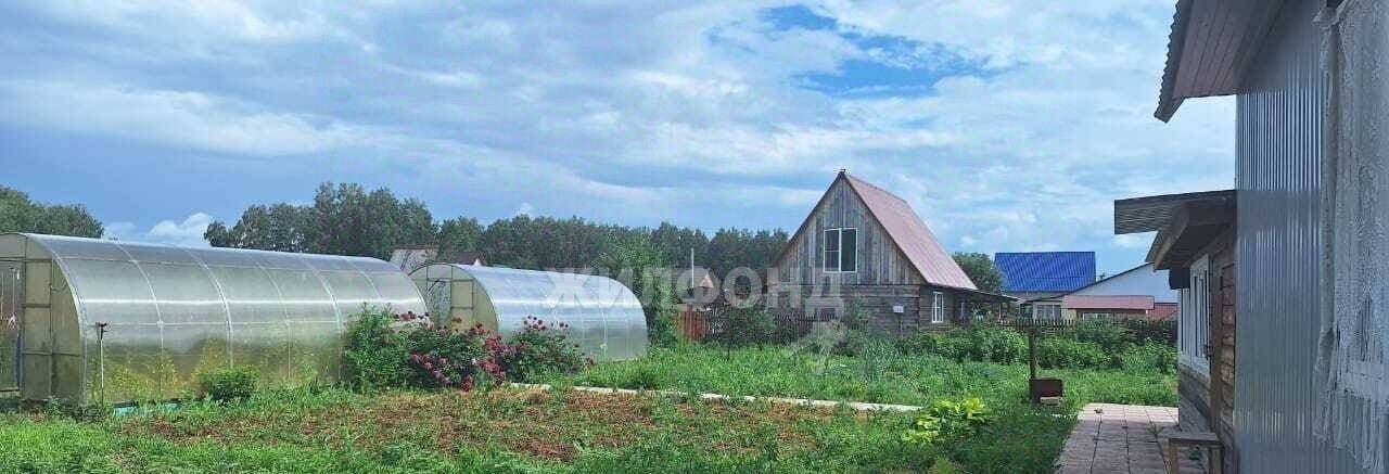 дом р-н Новосибирский с Ярково снт Березка-3 Ярковский сельсовет фото 5