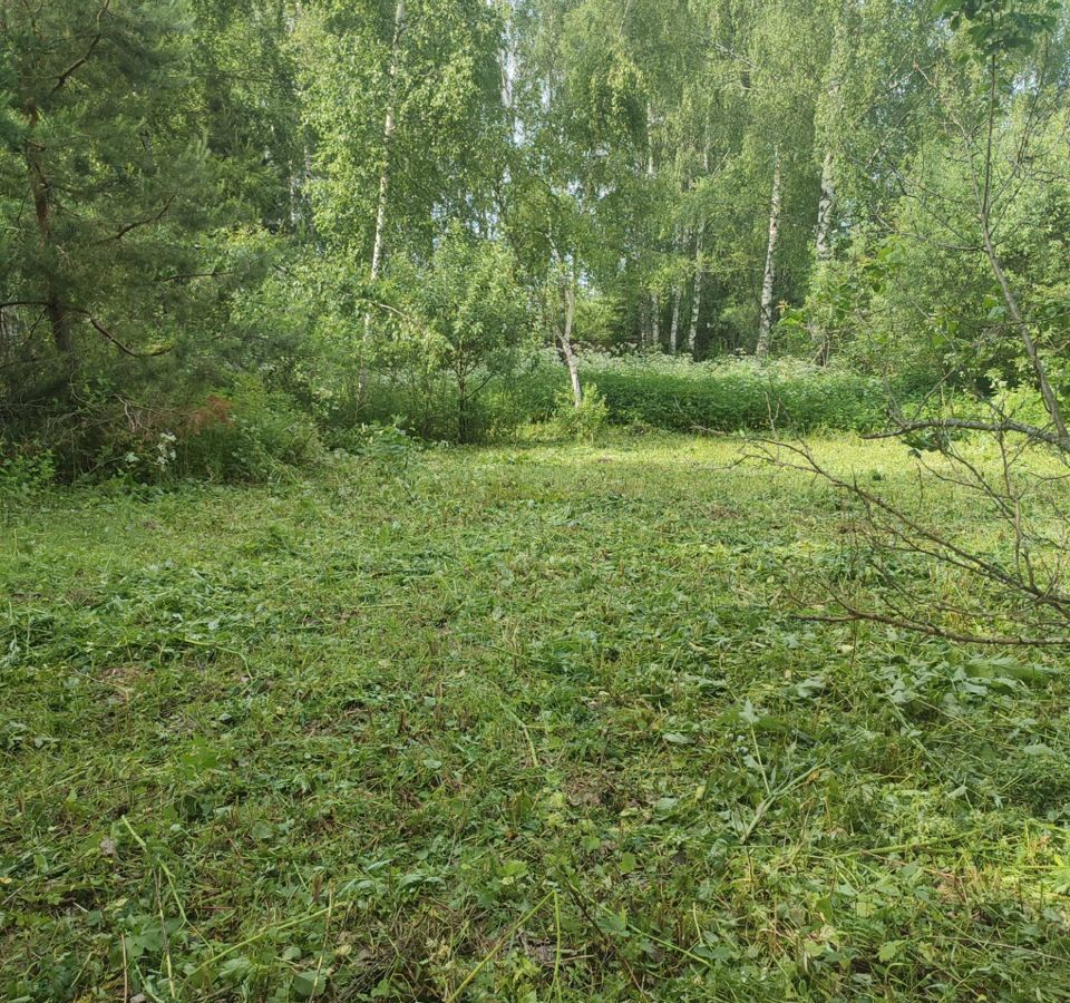 земля городской округ Орехово-Зуевский садовое товарищество Три Сестры, Орехово-Зуево фото 2