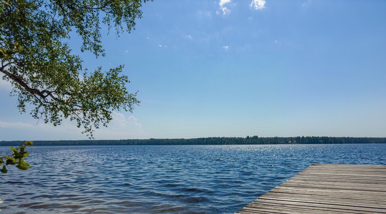 дом Приморское городское поселение, ДНП, 10, Выборгский район, Заозерье фото 42