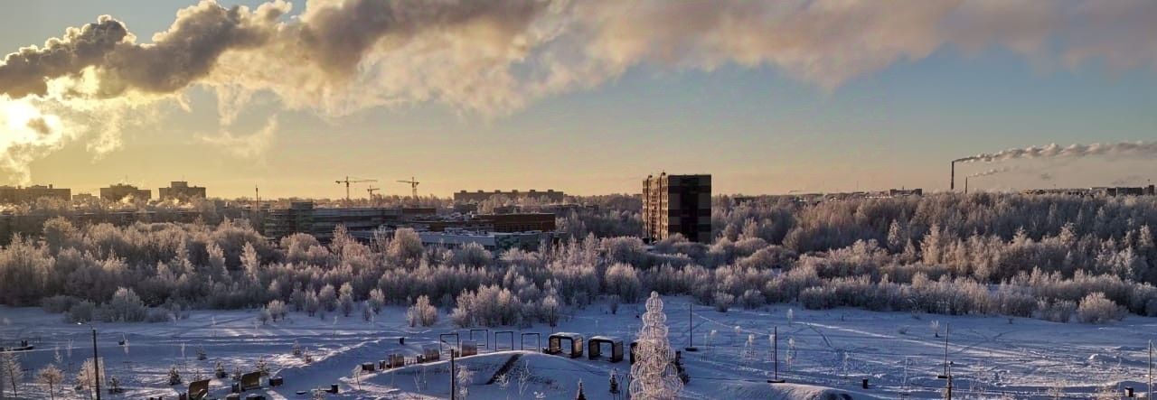 квартира г Красное Село ул Освобождения 29к/1 метро Ленинский Проспект фото 9