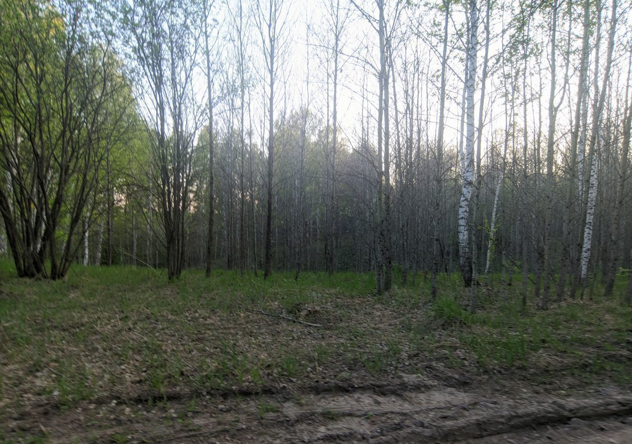 земля р-н Новосибирский снт Энергия-5 Барышево фото 15