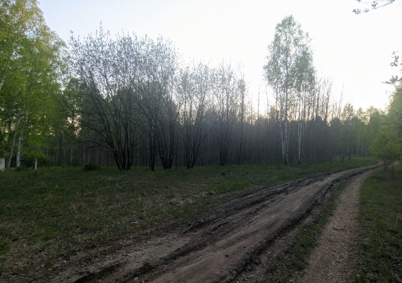 земля р-н Новосибирский снт Энергия-5 Барышево фото 16