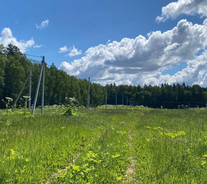 земля городской округ Дмитровский посёлок Подосинки фото 3