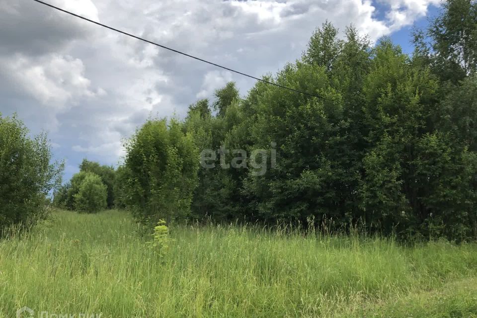 земля городской округ Коломна, деревня Борисовское фото 2
