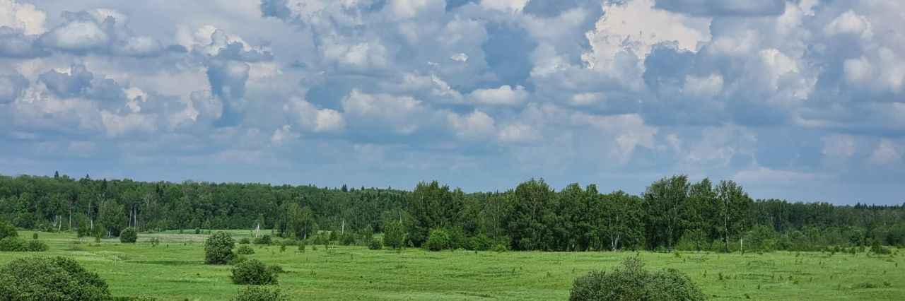 дом р-н Александровский д Лизуново ул Семейная Каринское муниципальное образование фото 33