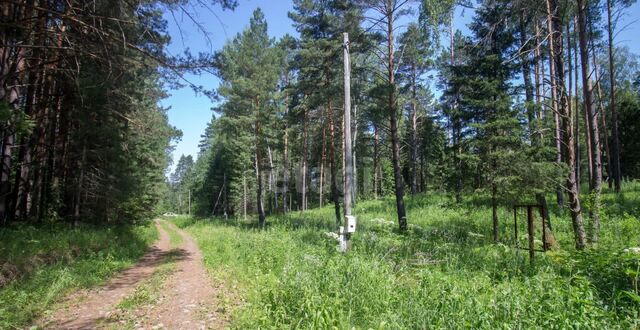 земля д Некрасово пер Кедровый Богашёвское сельское поселение, Богашево фото