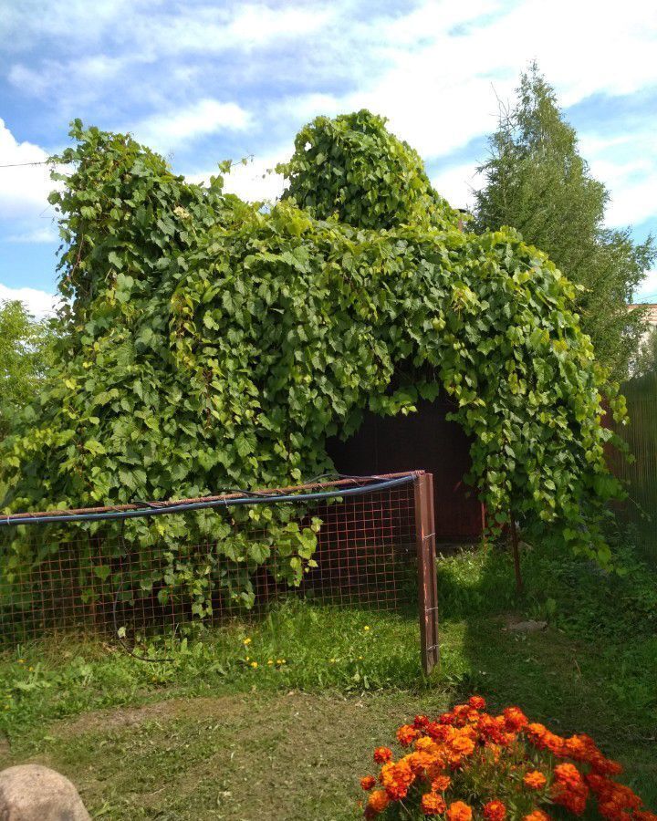 земля р-н Духовщинский п Озерный Озёрненское городское поселение фото 9