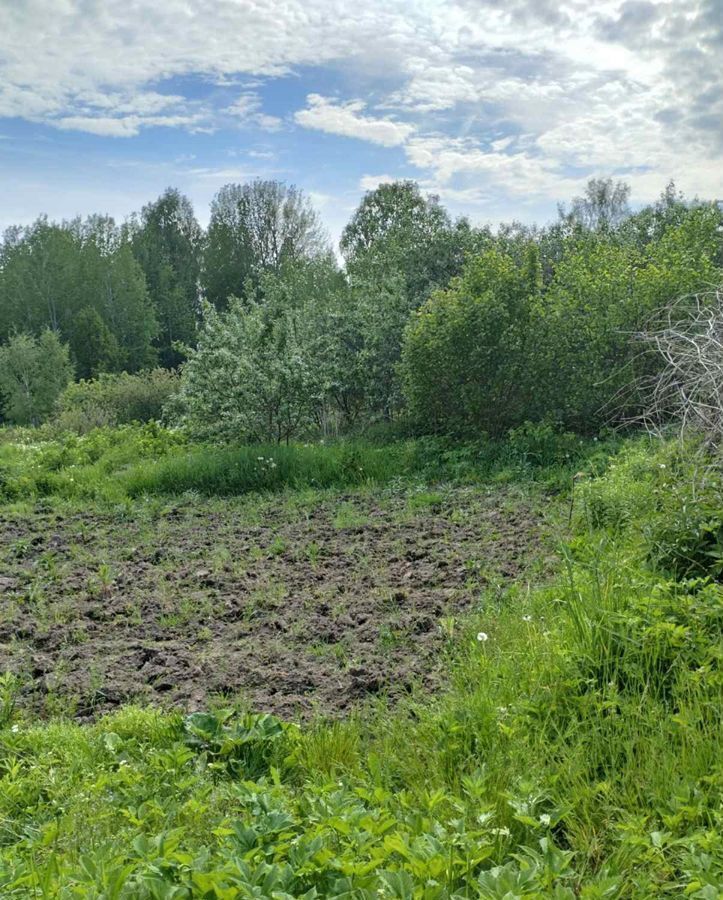 земля р-н Городецкий г Городец д. Стрекалово фото 1