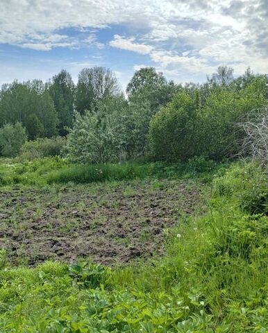 г Городец д. Стрекалово фото