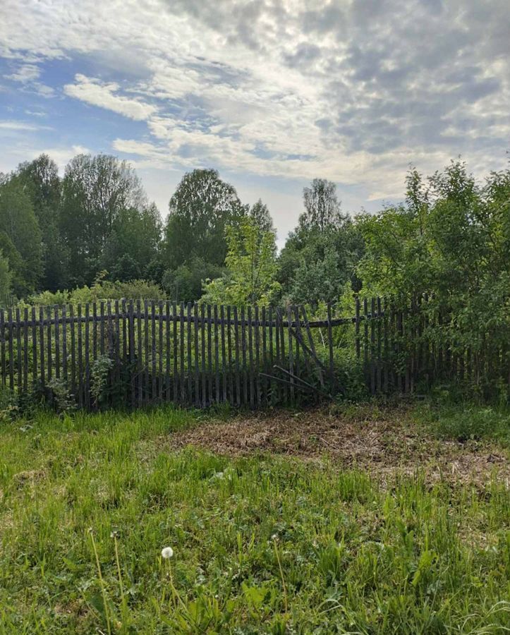 земля р-н Городецкий г Городец д. Стрекалово фото 3