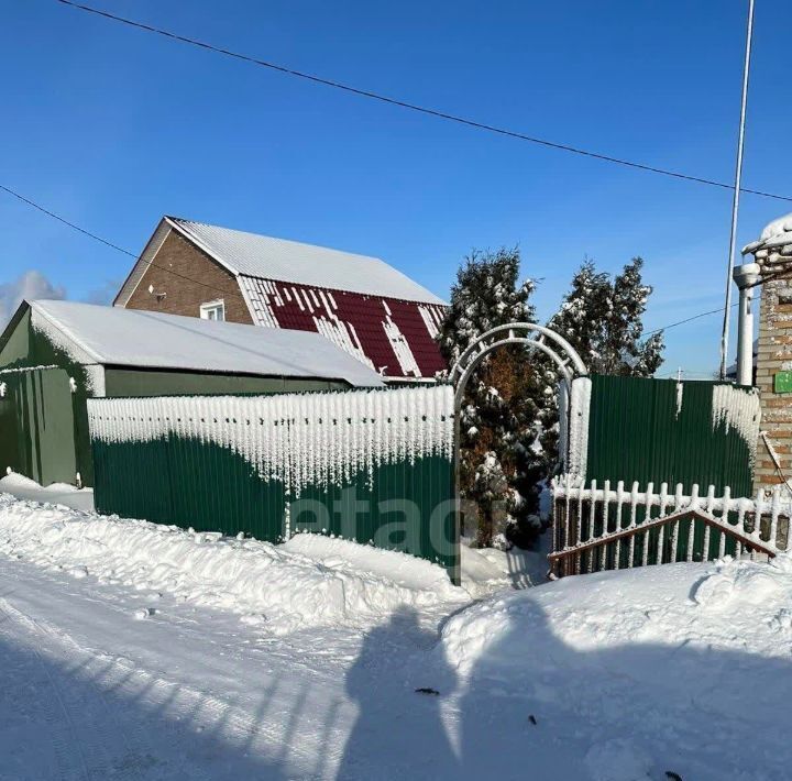 дом р-н Бессоновский с Грабово Грабовский сельсовет фото 2