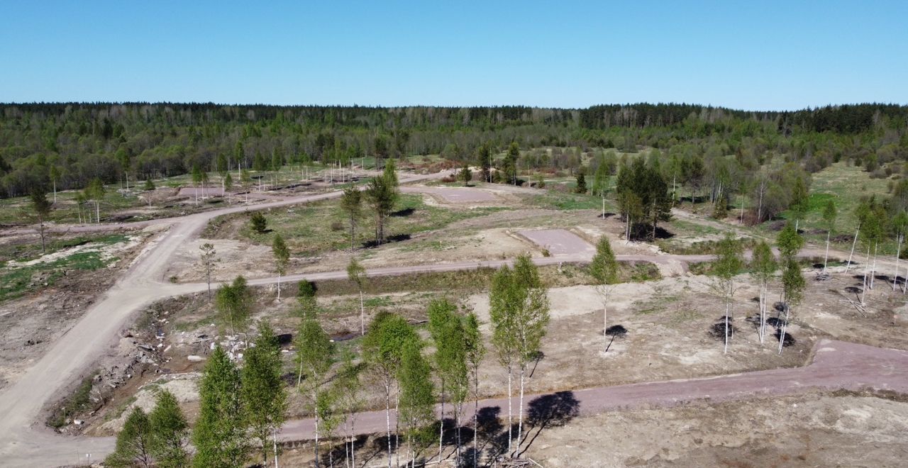 земля р-н Выборгский п Победа Рощинское городское поселение, Рощино фото 2