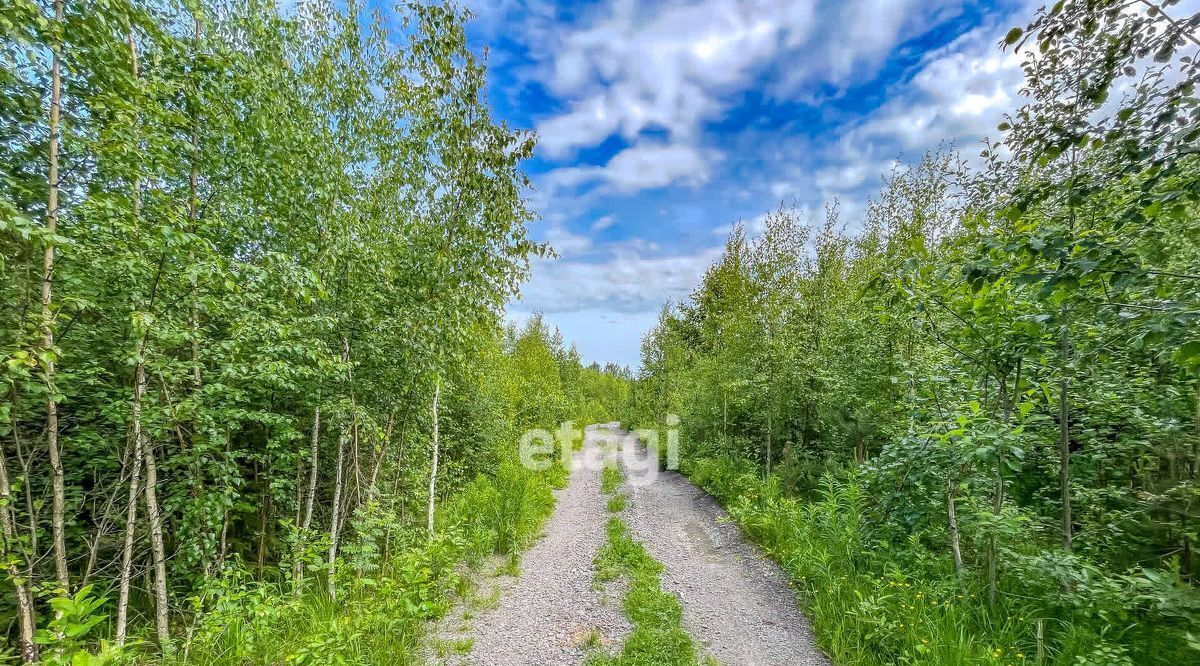 земля р-н Приозерский Севастьяновское с/пос, Урожайное СНТ фото 19