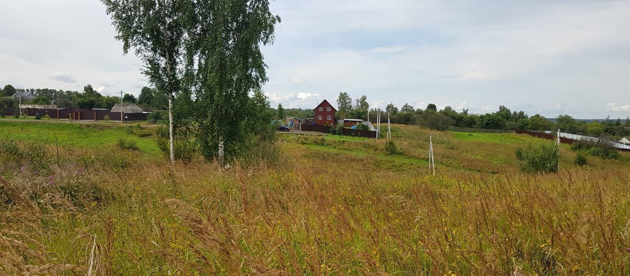 земля городской округ Дмитровский д Зверково Новосиньково фото 3