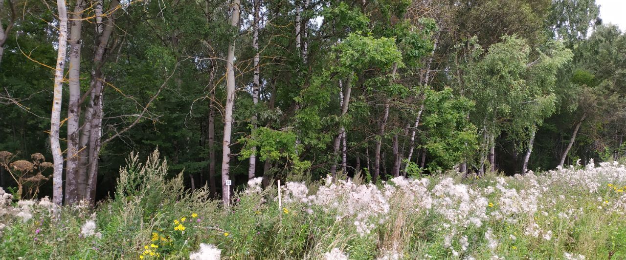 земля р-н Малоярославецкий с Недельное снт Недельное фото 1