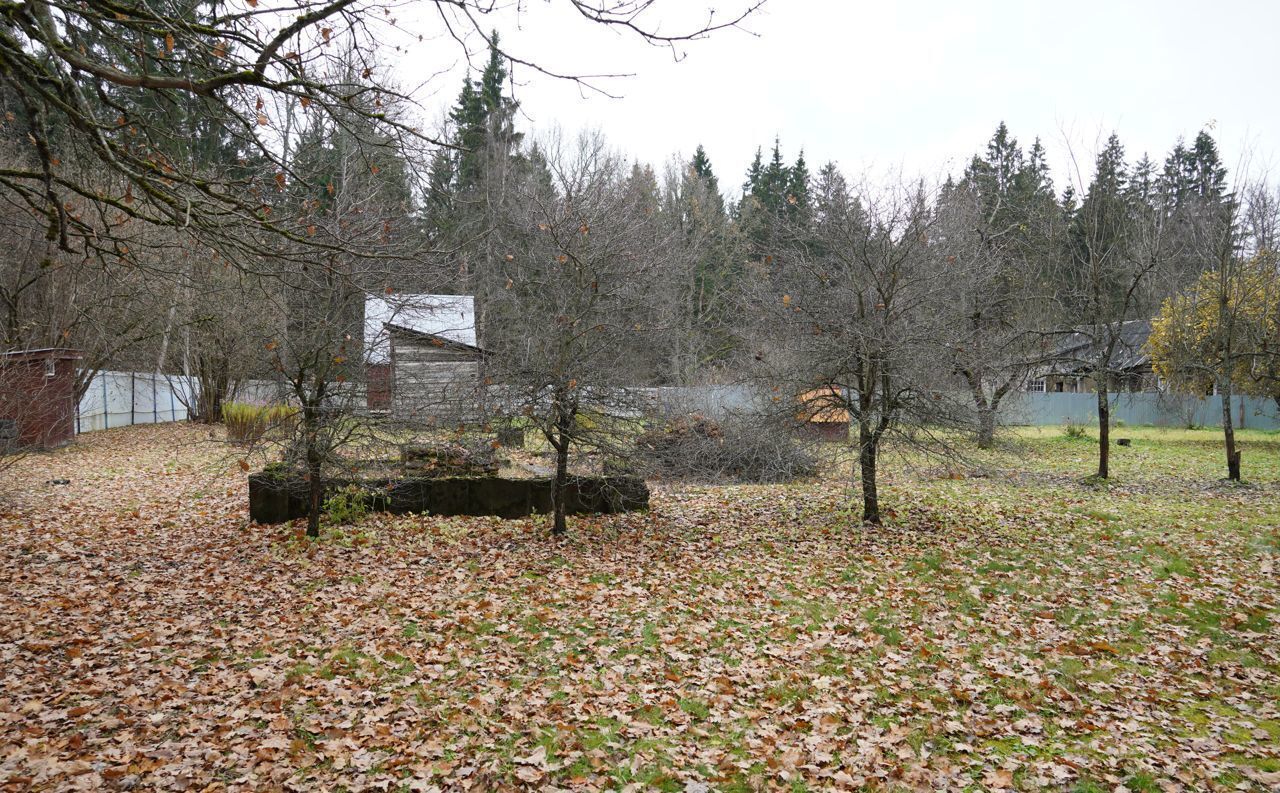 земля городской округ Рузский п Тучково территория Даниловка фото 21