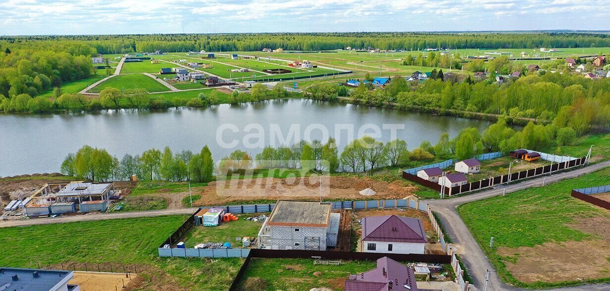 земля городской округ Домодедово д. Минаево фото 5