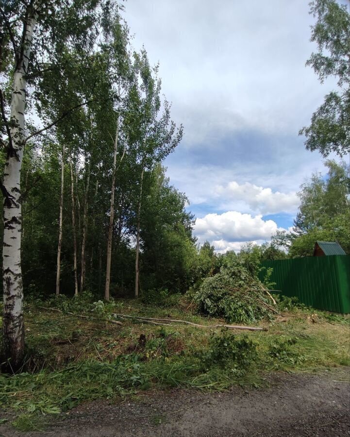 земля городской округ Павловский Посад д Васютино снт Голубые дали Электрогорск фото 3