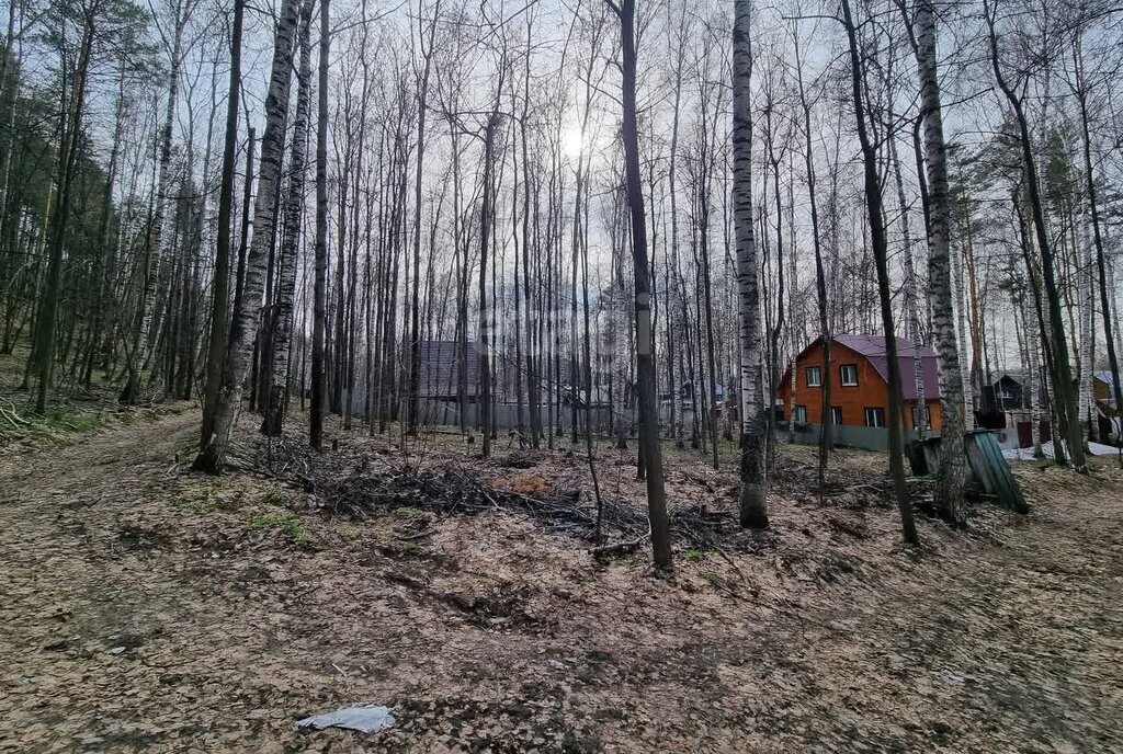 земля р-н Верхнеуслонский с Матюшино Лаишевский район, Горки фото 3