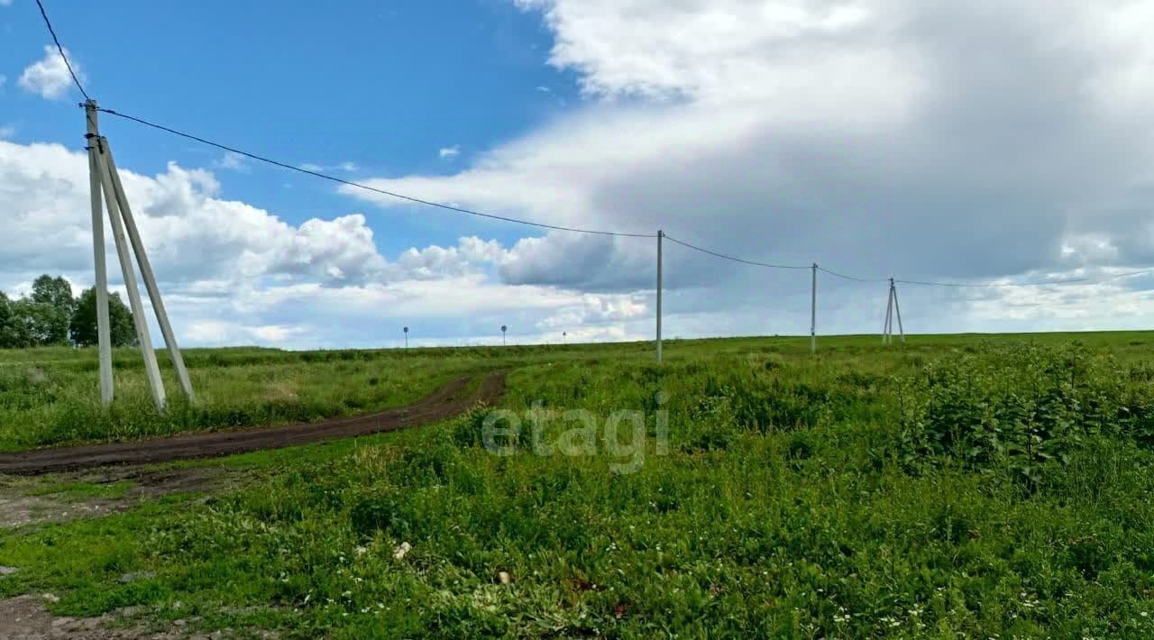 земля г Саранск с Куликовка ул Мирная фото 3