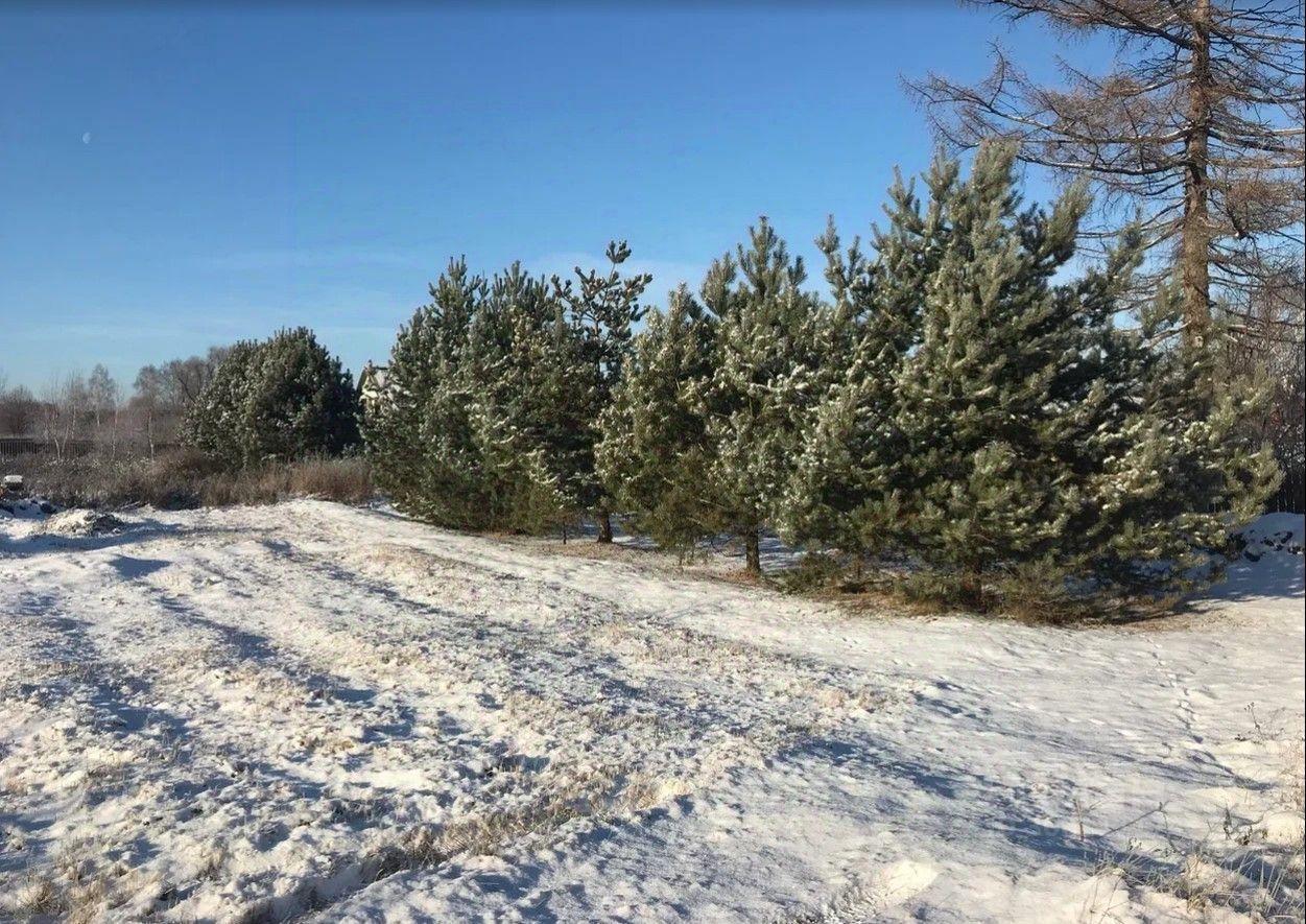 земля городской округ Ступино д Калянино ул Калянинская Михнево фото 35