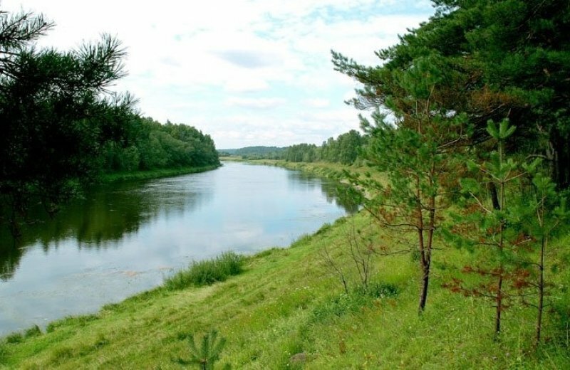 земля р-н Лужский д Старая Середка Скребловское сельское поселение фото 1