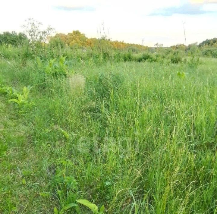 земля р-н Чернянский п Чернянка ул Советская городское поселение фото 3