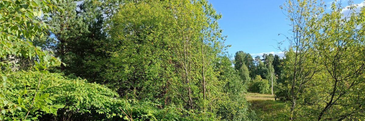 дом р-н Гатчинский Вырица городской поселок, Шушары, ул. Набережная фото 1