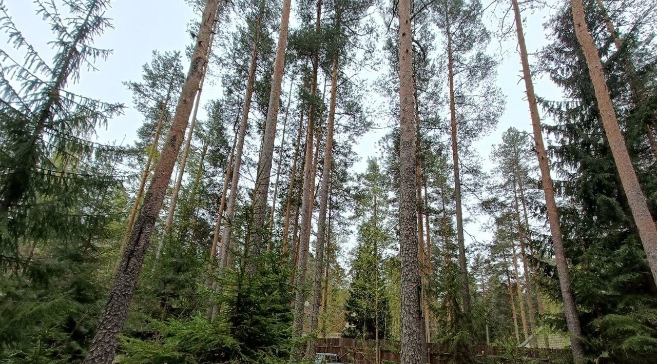 земля р-н Гатчинский Вырица городской поселок, Звездная, ул. Дзержинского, 8 фото 9