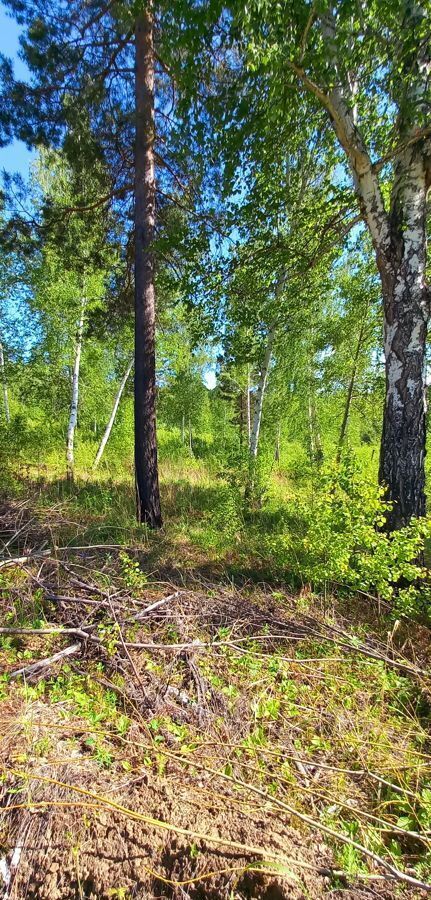 земля р-н Ангарский снт Горки Ангарский пр-т, Ангарск фото 3