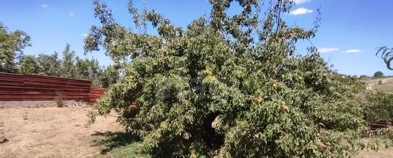 дом р-н Бахчисарайский с Ароматное снт Садоводческое товарищество -Садовод Ароматненское сельское поселение, Бахчисарай фото 22