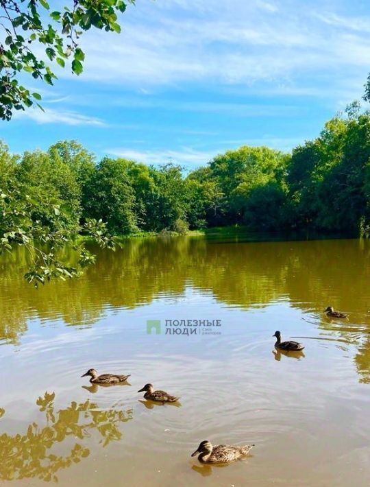 дом р-н Хабаровский снт Тепловозник ул. Подгорная фото 3