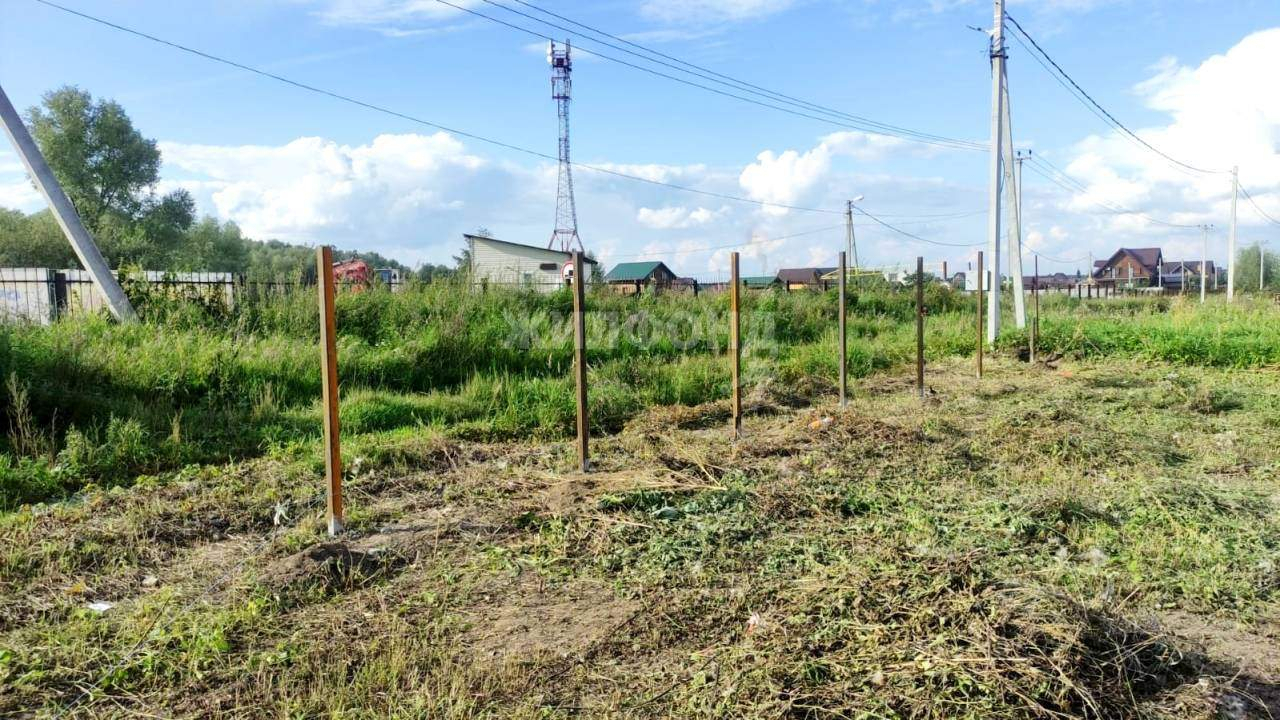 земля р-н Новосибирский Сады Приобья территория снт фото 1