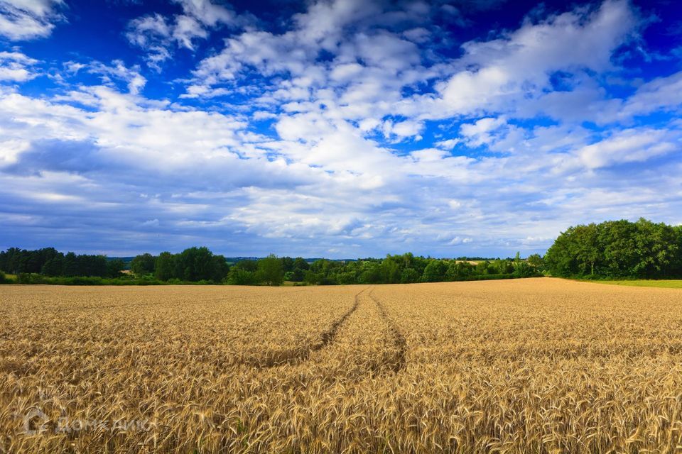 земля р-н Сакский село Шалаши фото 1