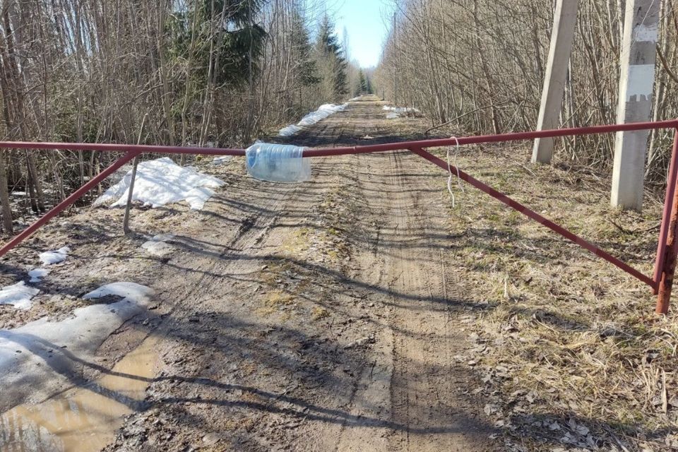 земля р-н Новгородский садоводческий массив Веряжа-2, СТ Луга-6 фото 3