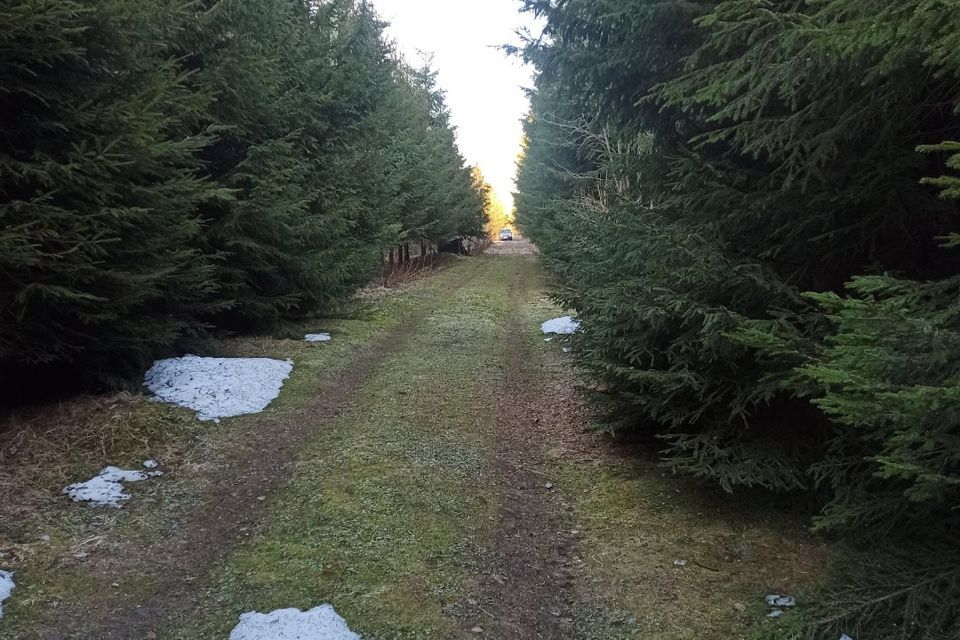 земля р-н Новгородский садоводческий массив Веряжа-2, СТ Луга-6 фото 2