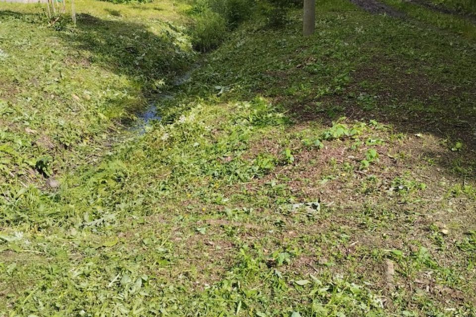 земля р-н Новгородский садоводческий массив Веряжа-2, СТ Луга-6 фото 4