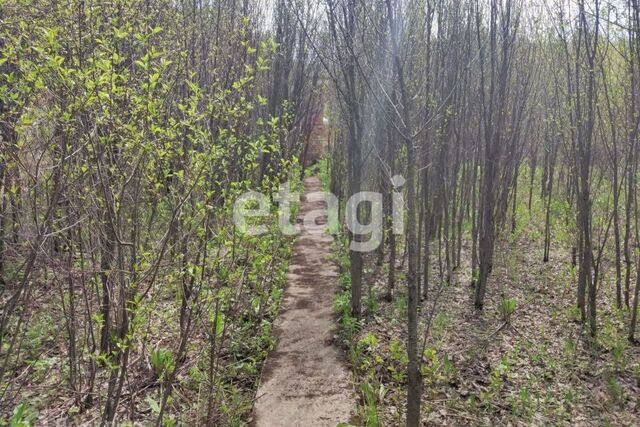 городской округ Красноярск, СНТ Южное фото