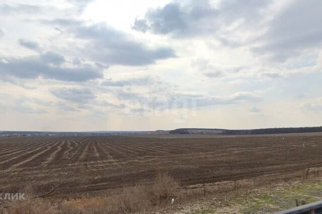 земля р-н Советский ул Придонская городской округ Воронеж фото