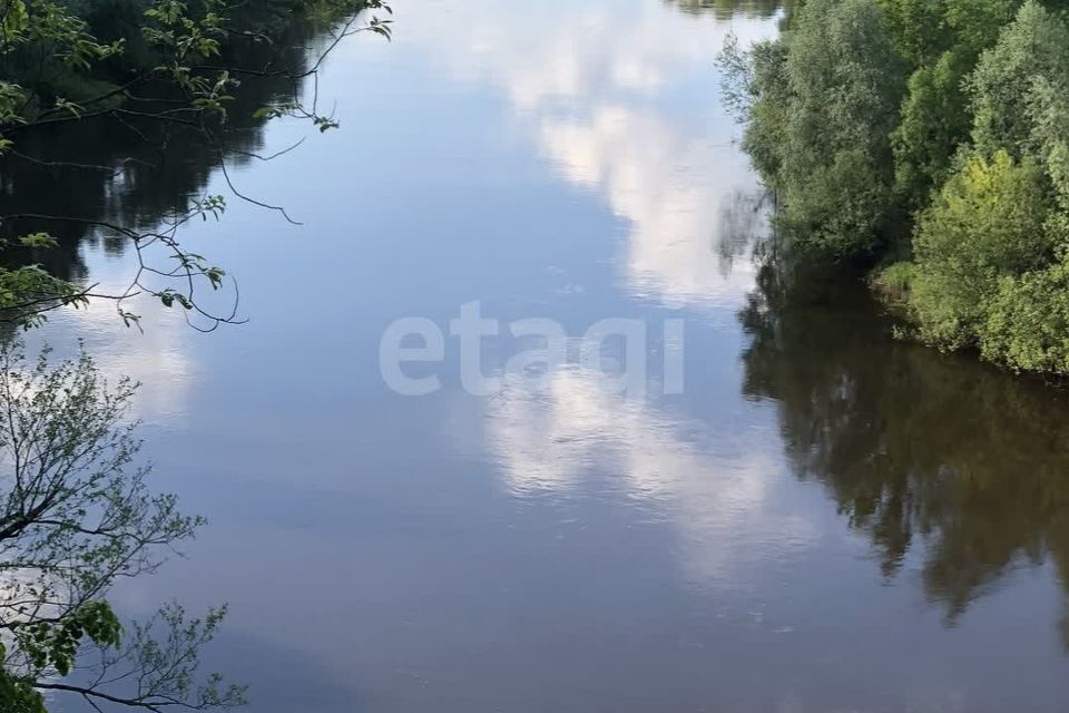 дом р-н Брянский село Хотылёво фото 3