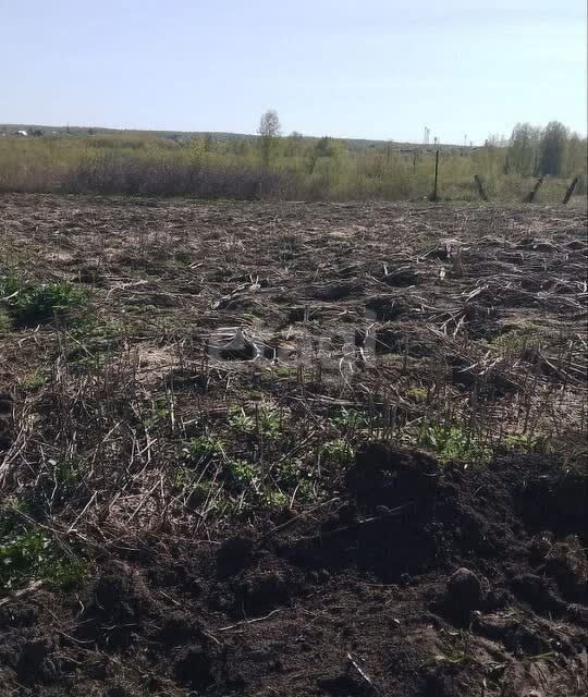 земля р-н Первомайский с Санниково мкр Березка Санниковский сельсовет фото 2