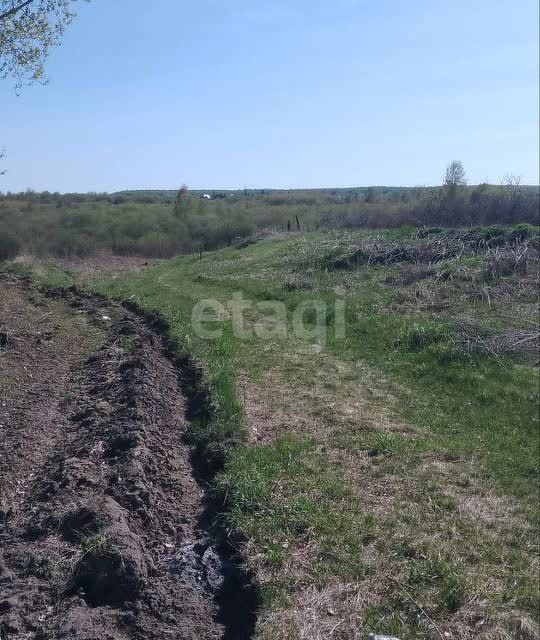 земля р-н Первомайский с Санниково мкр Березка Санниковский сельсовет фото 4