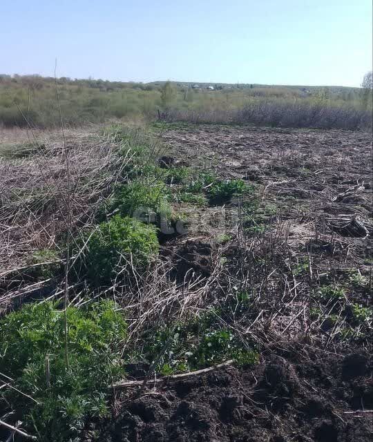 земля р-н Первомайский с Санниково мкр Березка Санниковский сельсовет фото 3